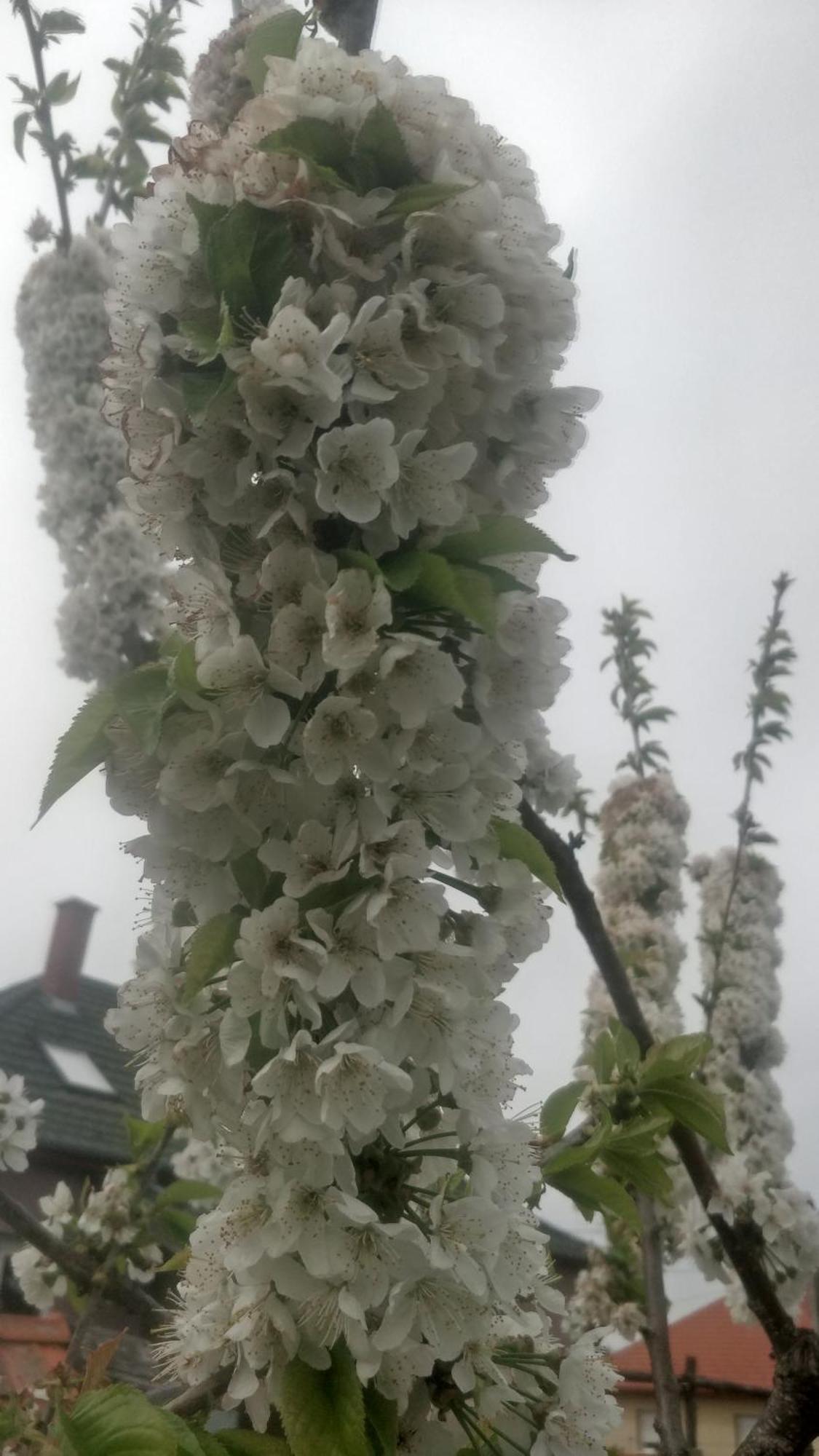 Novákporta vendégház Lakhegy Esterno foto